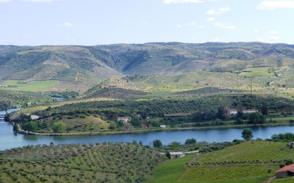 ST - FREIXO DE ESPADA A CINTA